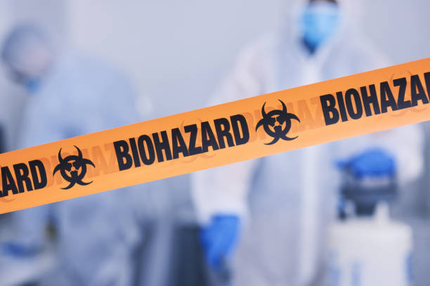 Professional Sewage Cleanup technician working in Evansville, IL